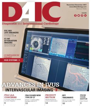 《诊断与介入心脏病学》(diaic)杂志，2021年11月- 12月版，主编戴夫·福内尔。